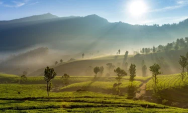 Karnataka Heritage & Coffee Trails