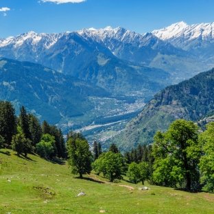 Untitled design (36)