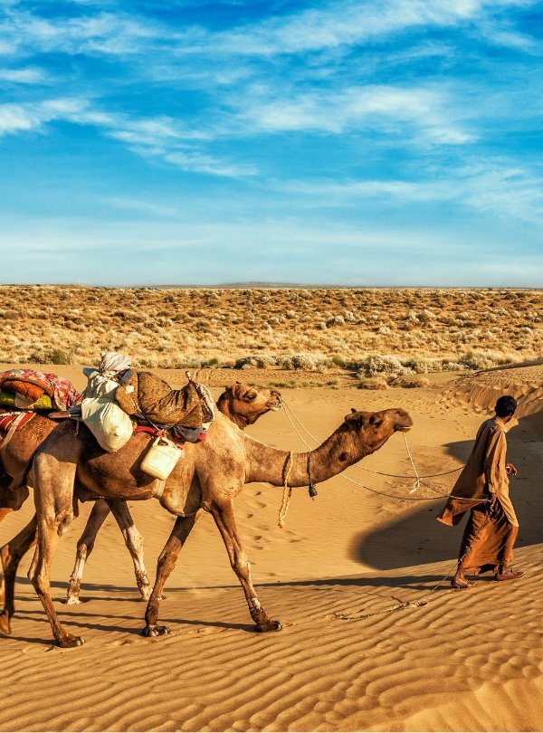 Untitled design (43)