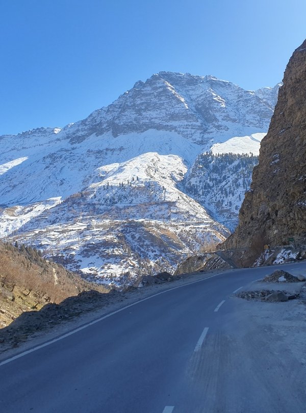 Untitled design (46)