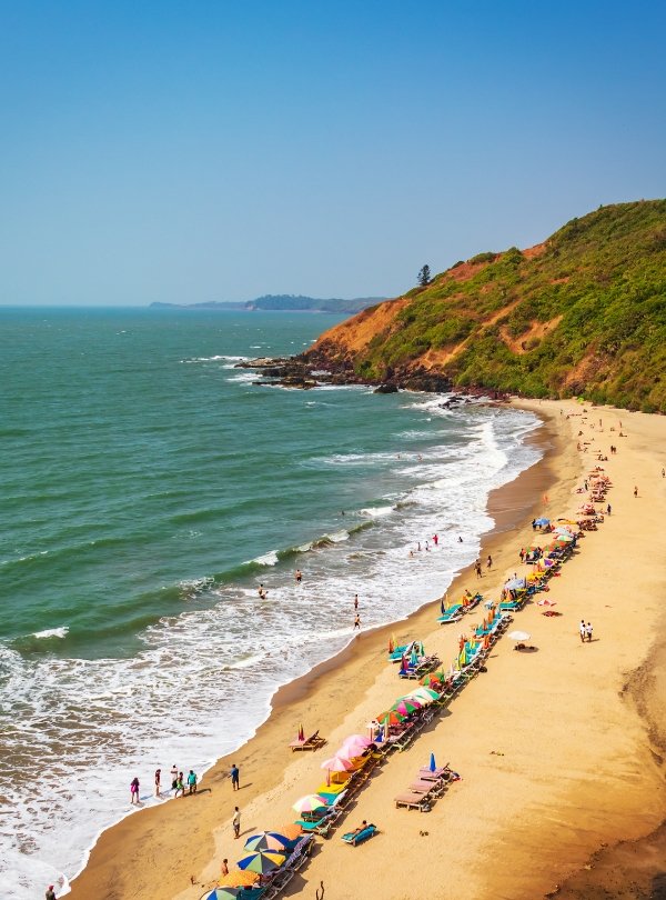 Untitled design (59)