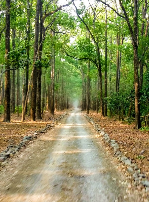 Untitled design (61)