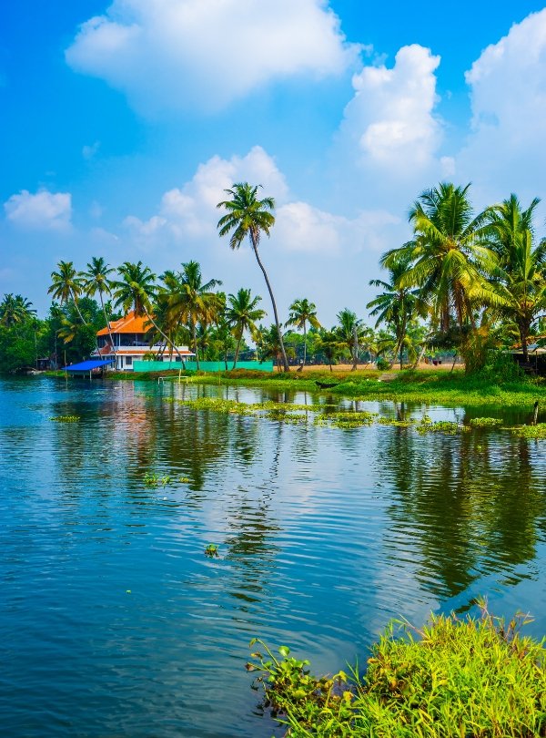 Untitled design (62)