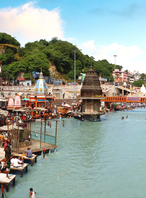 Untitled design (62)