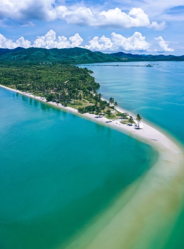 Untitled design (64)