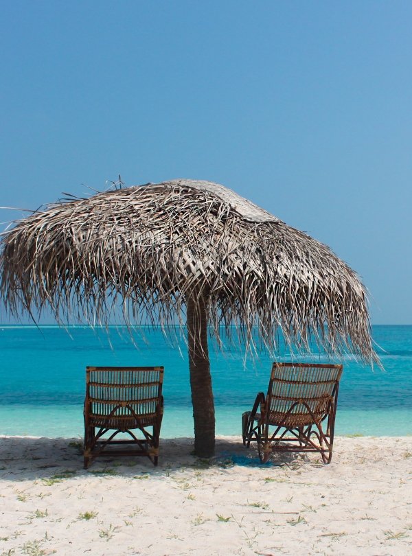 Untitled design (65)