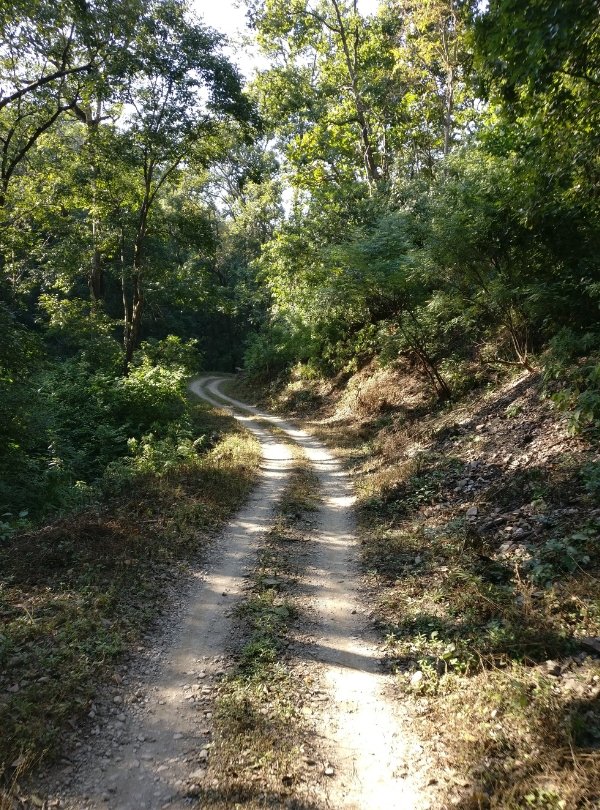 Untitled design (71)