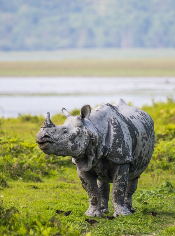 Untitled design (73)