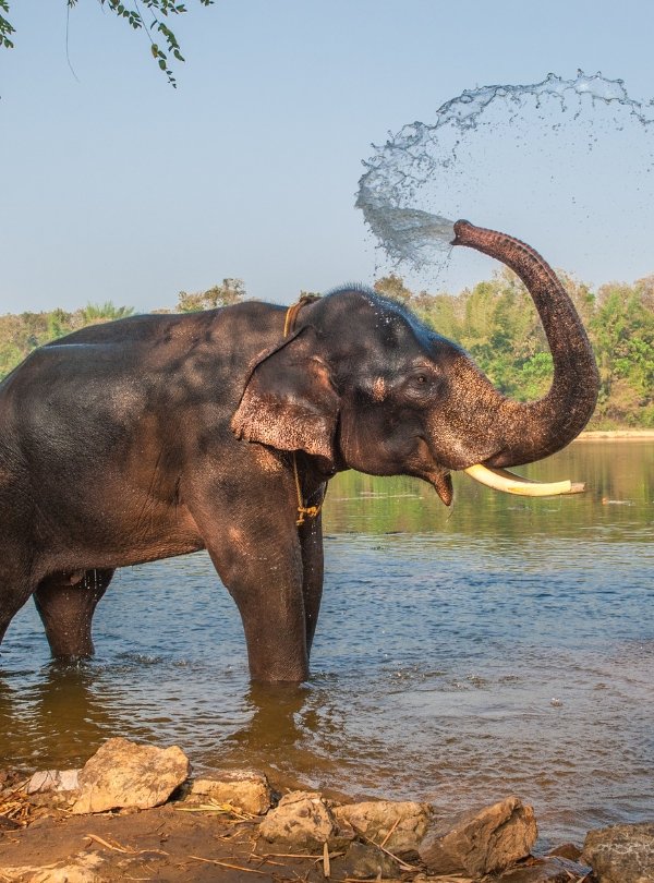 Untitled design (74)