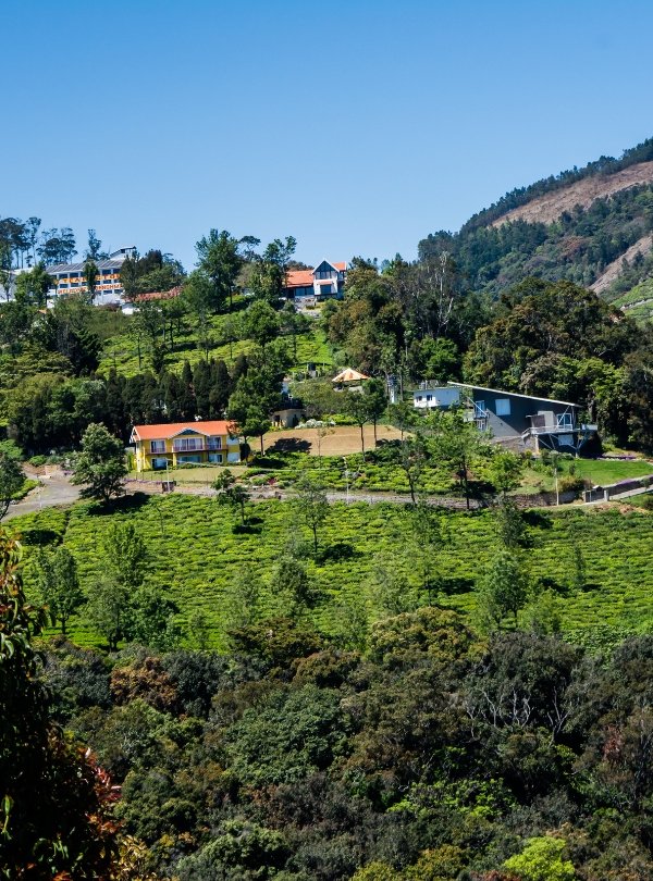 Untitled design (76)