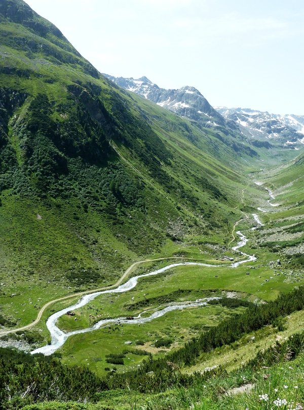 Untitled design (77)